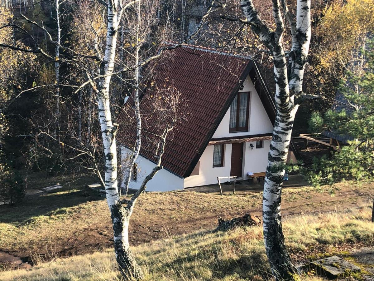 Vikendica Stojanovic Villa Mionica Exterior foto